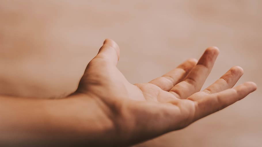 left human hand open, human body part, one person, selective focus HD wallpaper