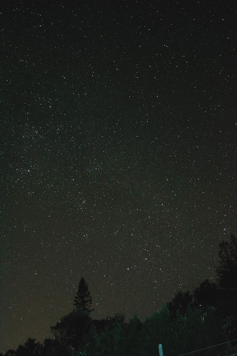 wallpaper, nature, trees, forest, space, stars, night, sky HD wallpaper