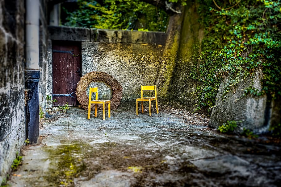 chairs, empty, seating, nobody, furniture, no people, day, plant HD wallpaper
