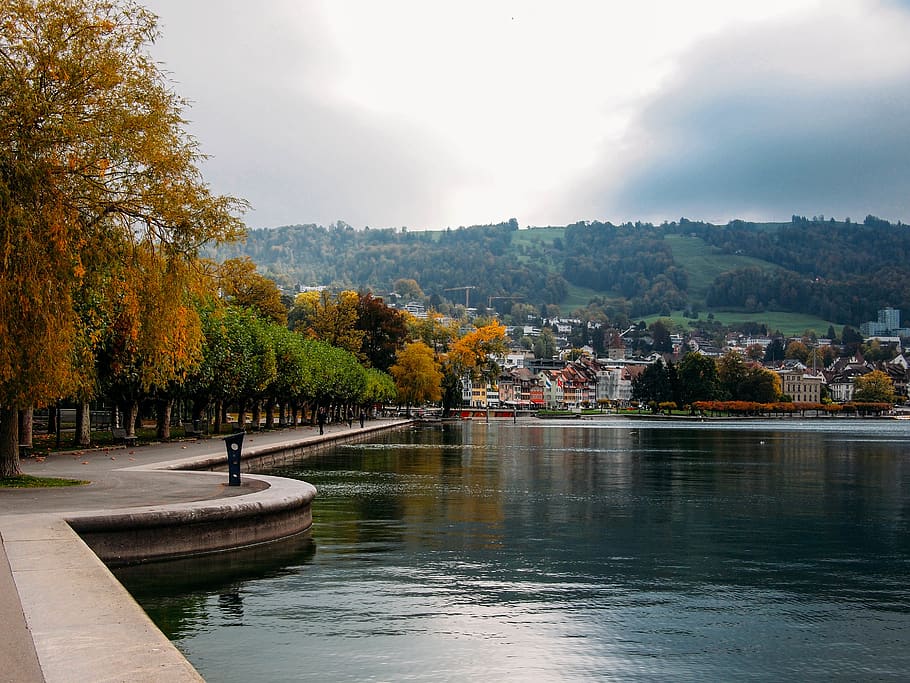 tree, water, plant, autumn, architecture, change, nature, sky HD wallpaper