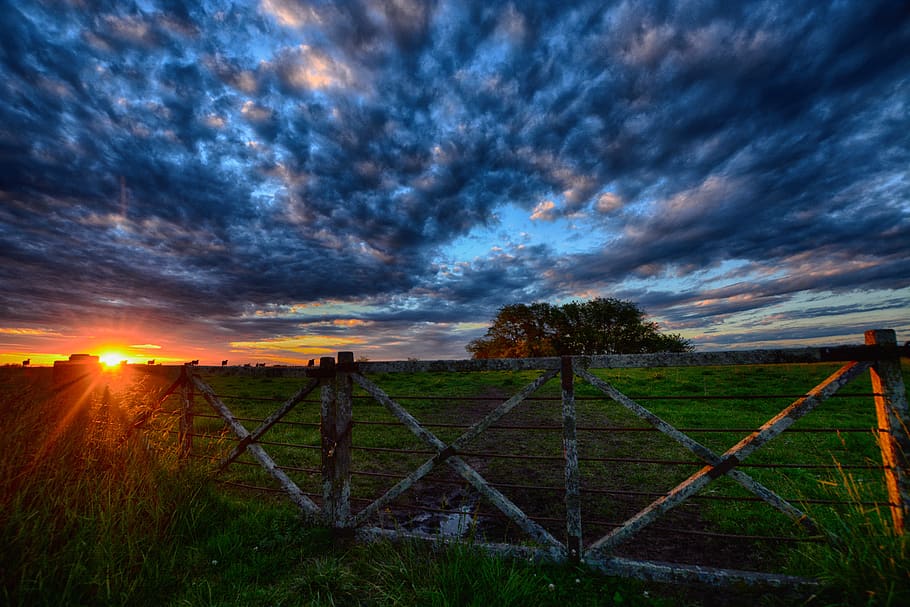 gate, sunset, landscape, sky, field, nature, clouds, horizon HD wallpaper