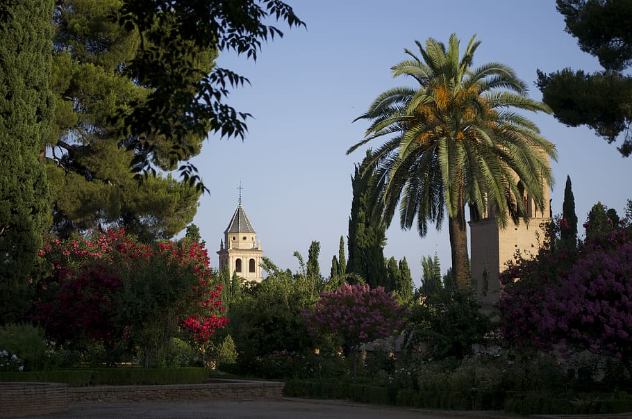 alhambra, plant, tree, built structure, architecture, growth HD wallpaper