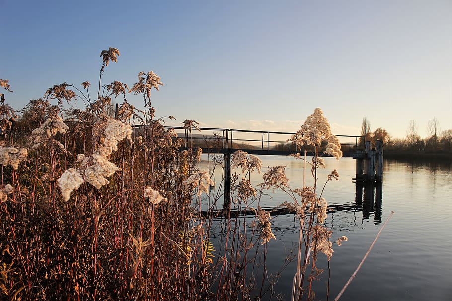 sun, fall, autumn, river, water, sky, nature, plant, tranquility HD wallpaper