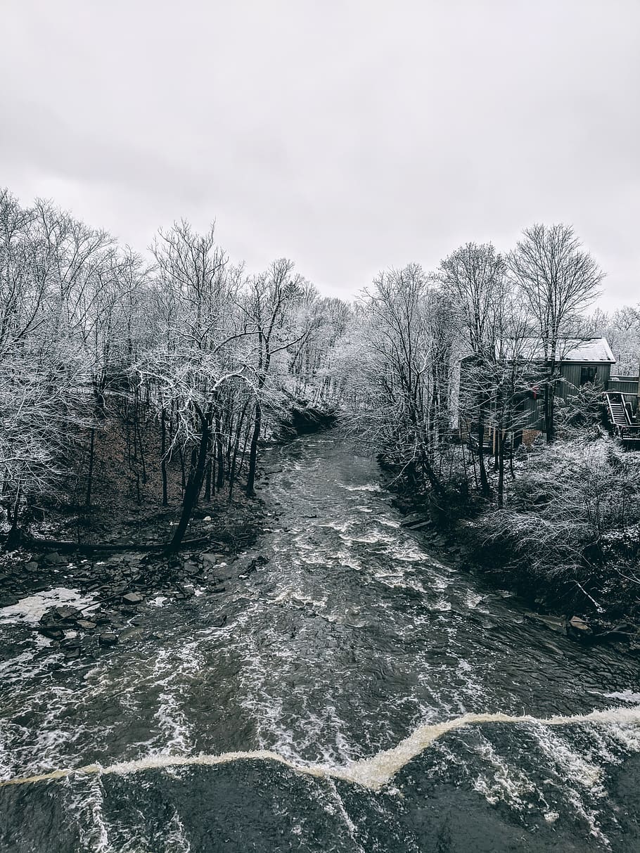 trees near river\, water, snow, nature, cleveland, ohio, town HD wallpaper
