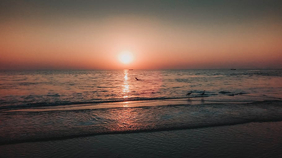 beach, sea, sun, sunset, ocean, summer, sky, water, dawn, dusk HD wallpaper