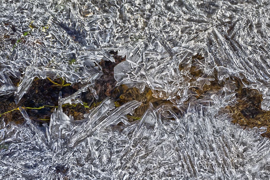 water, icy, eiskristalle, frozen, creek, frost, winter, cold, HD wallpaper