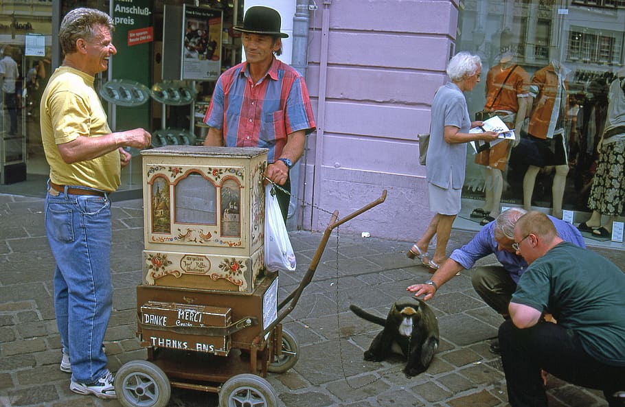 germany, trier, organ, monkey, men, group of people, real people HD wallpaper