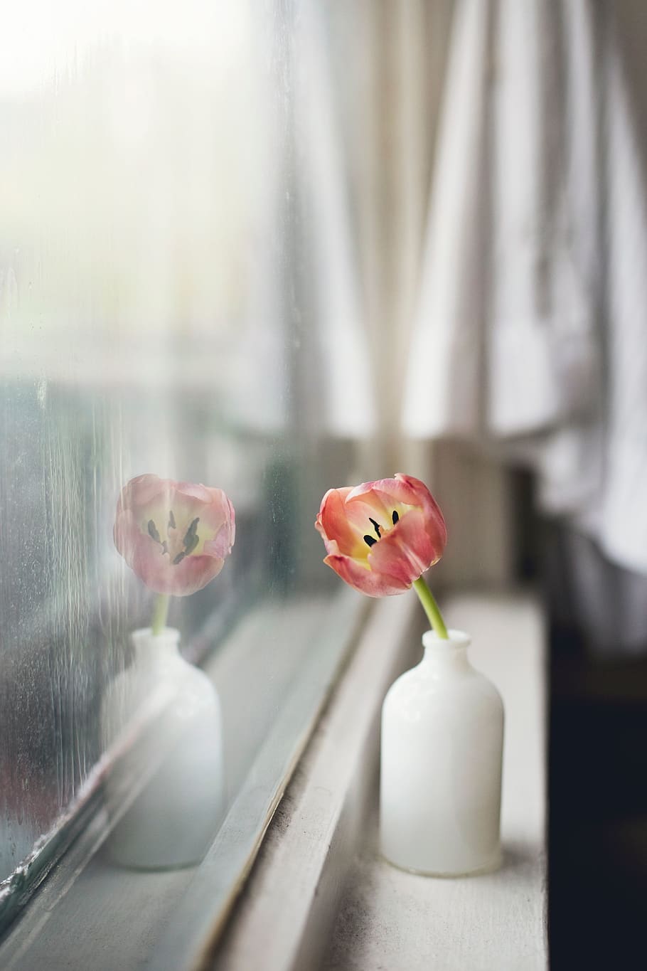 flower, vase, interior, display, window, glass, bedroom, indoors HD wallpaper