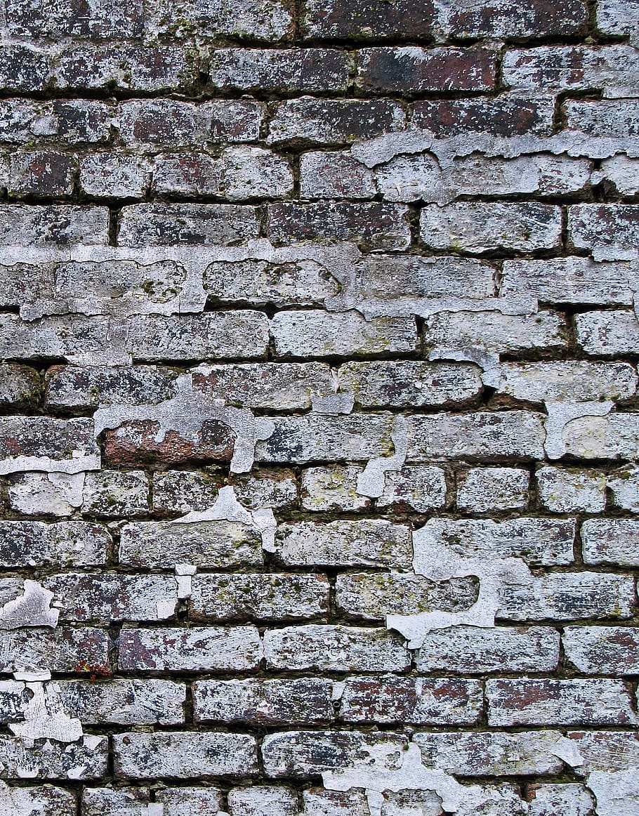 full frame, backgrounds, wall, wall - building feature, textured HD wallpaper