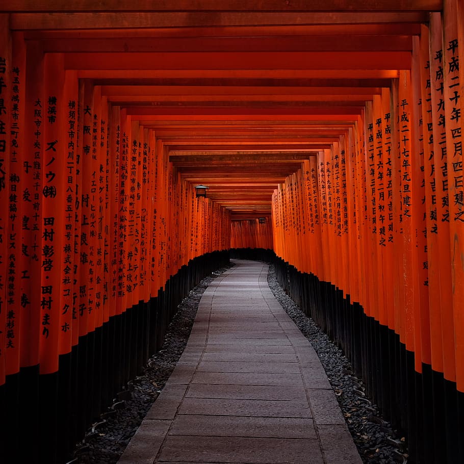pathway under tori gates, the way forward, direction, religion HD wallpaper