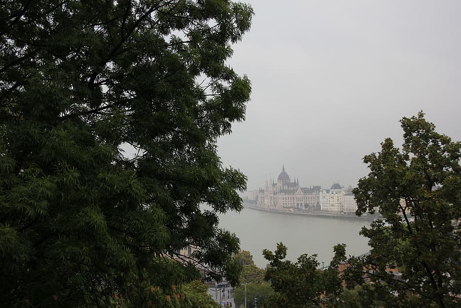 cityscape, Budapest, tree, plant, architecture, built structure HD wallpaper