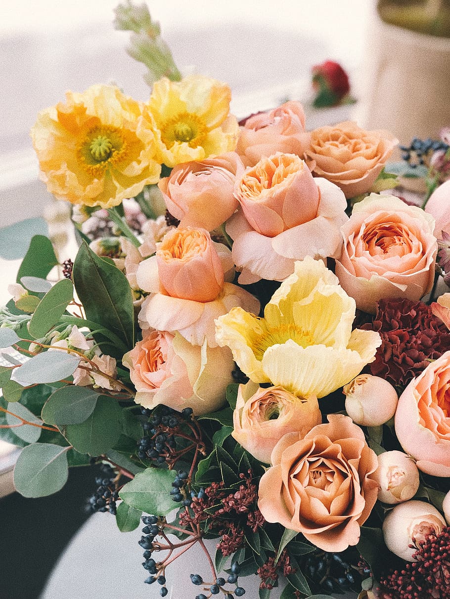 Pink and Yellow Flowers, anniversary, beautiful, bloom, blooming HD wallpaper