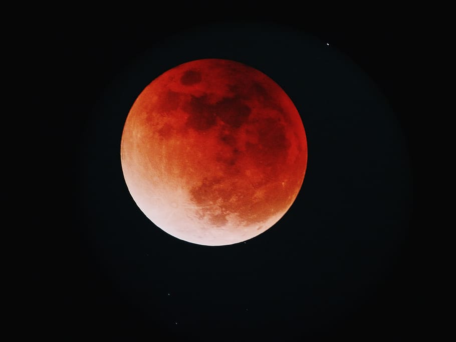 red moobn, space, astronomy, sky, night, moon, beauty in nature HD wallpaper