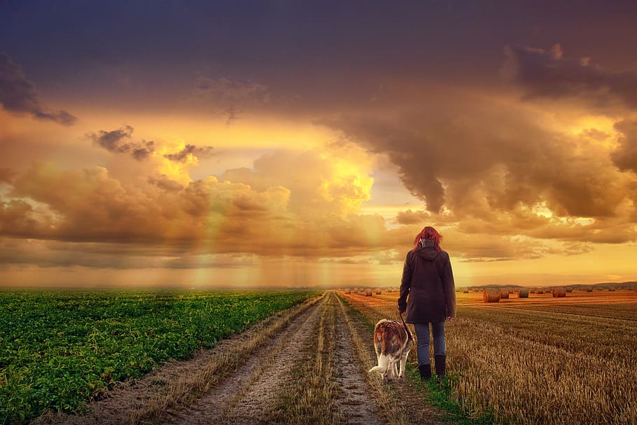 landscape, sunset, sky, clouds, women, field, dog, domestic HD wallpaper