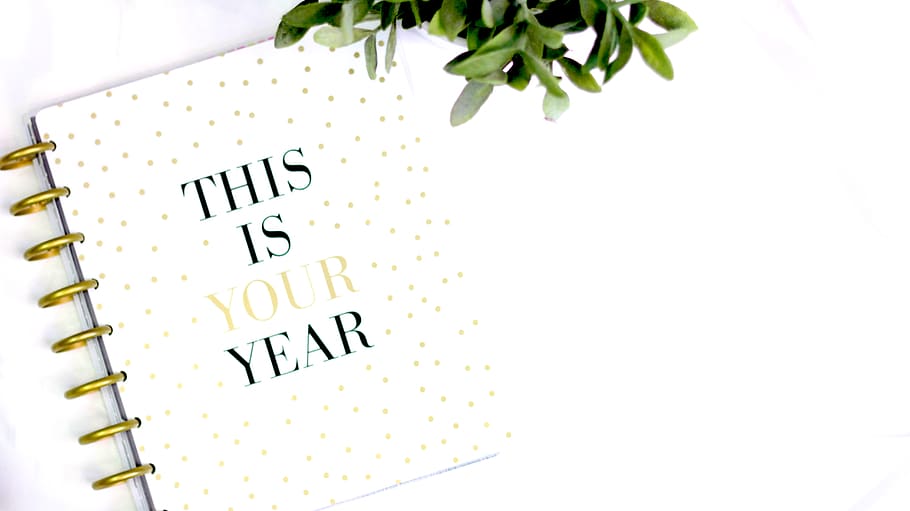 notebook, notes, table, white, office, work, pages, sheets HD wallpaper