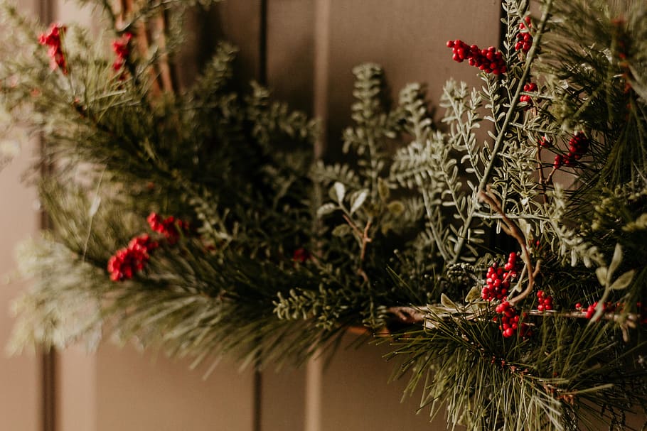 wreath on wall, plant, tree, ornament, christmas tree, blossom, HD wallpaper