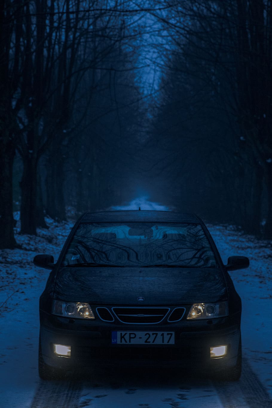 black vehicle in between trees, snow, transportation, mode of transportation HD wallpaper