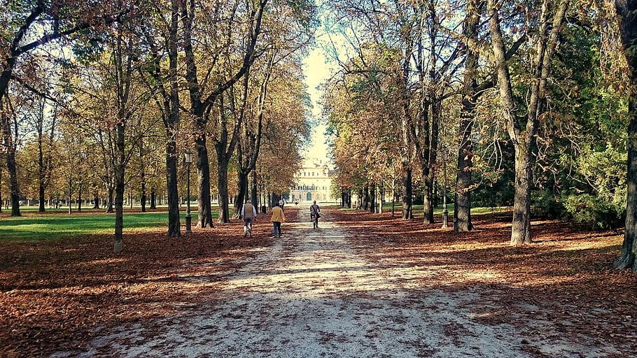 parma, italy, parco ducale, walking, autumn, people, city, time, HD wallpaper