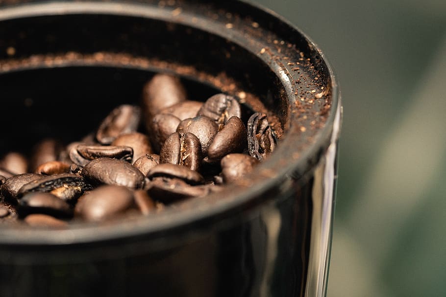coffee beans in black container, coffee cup, plant, invertebrate HD wallpaper