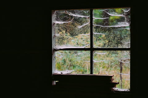 window, cabin, spiderweb, wood, woods, old, scary, trees, forest HD wallpaper