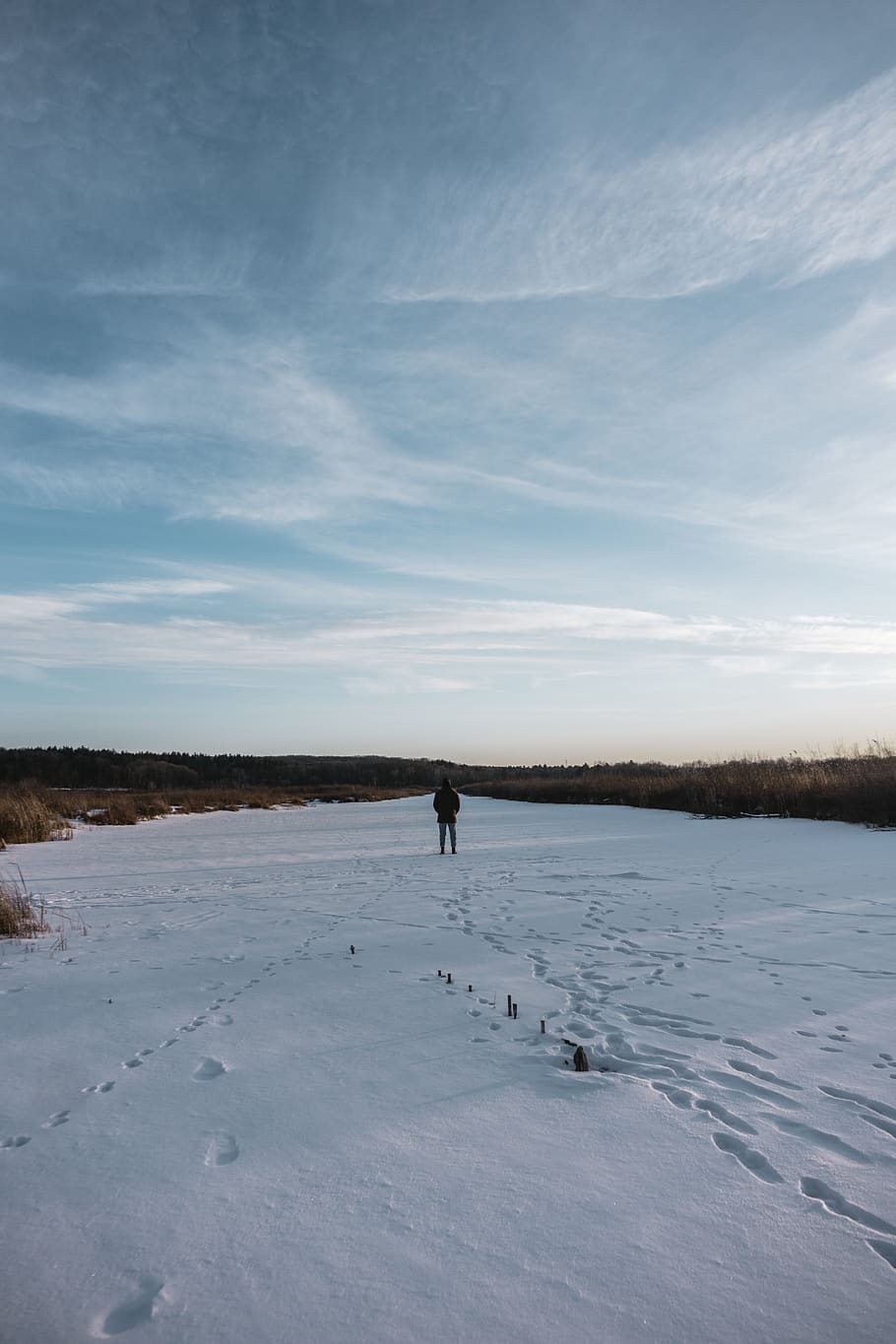 lonely, minimal, minimalistic, winter, cold, sky, cloud - sky HD wallpaper