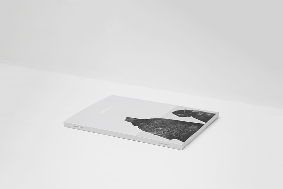 book, read, knowledge, black and white, studio shot, white background HD wallpaper