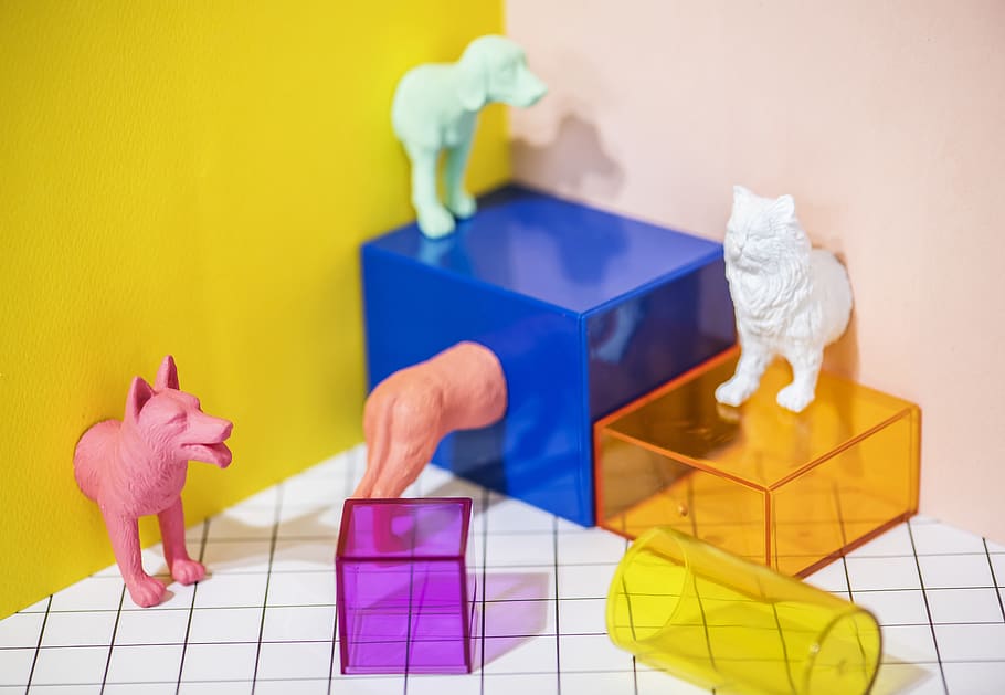 Cat and Dog Toys, animal, boxes, canine, colorful, colors, cubes HD wallpaper