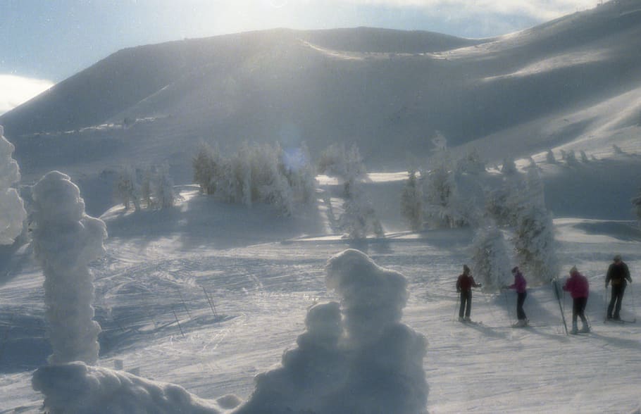 sunlight, snow, people, skiing, winter, mountain, cold temperature HD wallpaper