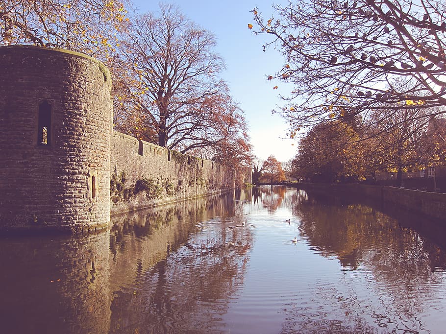 architecture, bird, outdoor, water, moat, winter, autumn, bishops palace