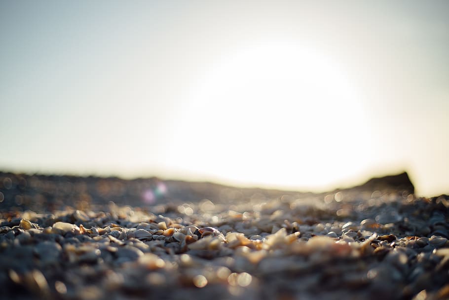 Gray Rocky Field Under Clear Sky during Daytime, beach, coast HD wallpaper