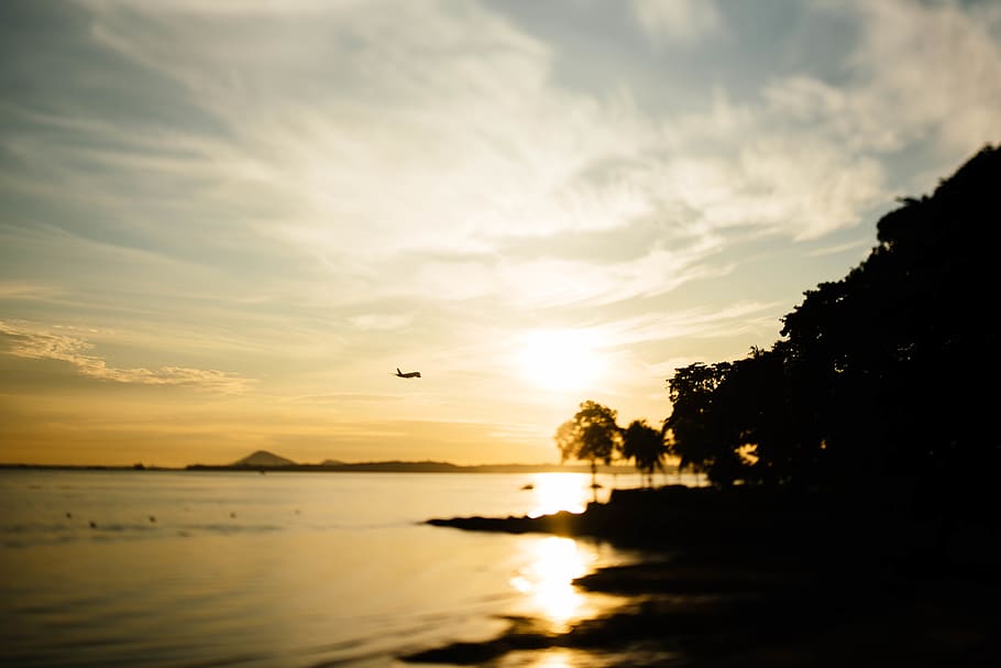 airplane during sunset, sky, scenics - nature, beauty in nature HD wallpaper