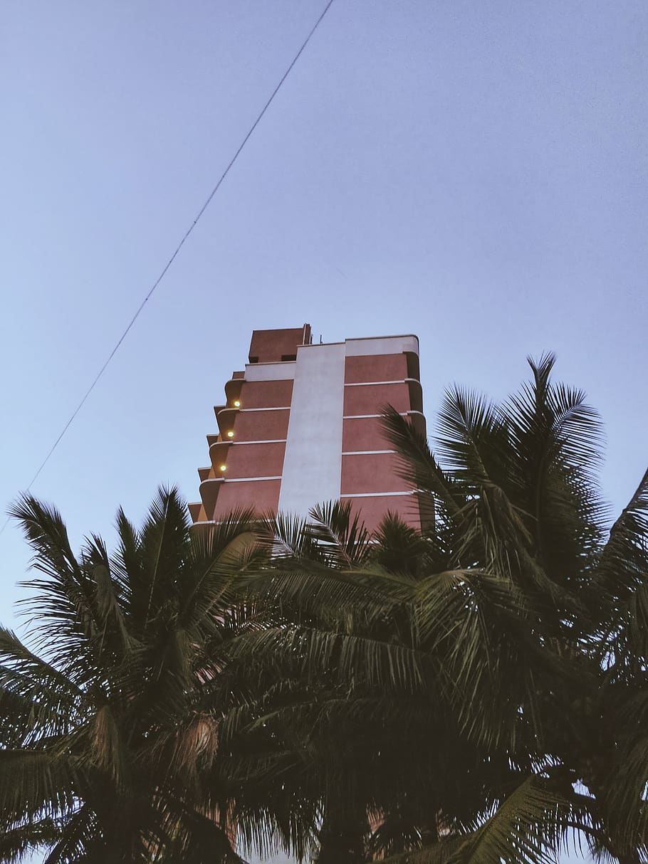 india, mumbai, tree, sky, tropical climate, building exterior HD wallpaper