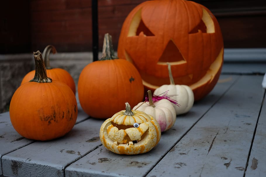 pumpkins halloween, food and drink, vegetable, celebration HD wallpaper