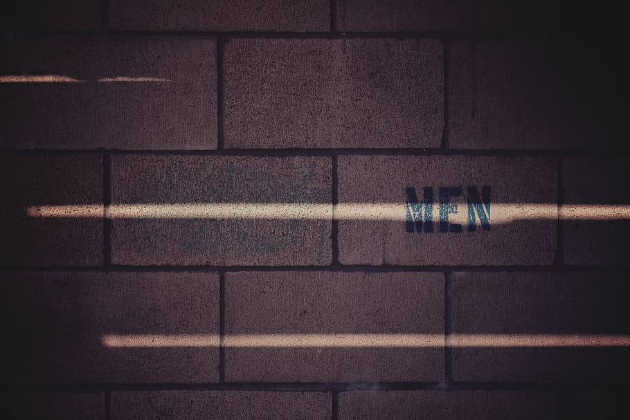 Brickwall, bricks, pattern, sunlight, wall - building feature HD wallpaper