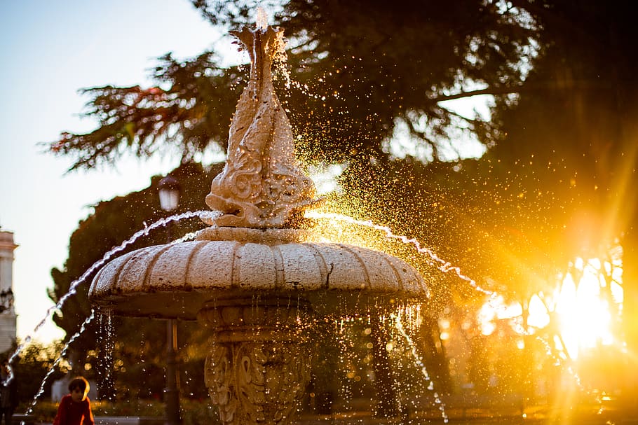 beige ceramic fountain, tree, plant, nature, sunlight, religion HD wallpaper
