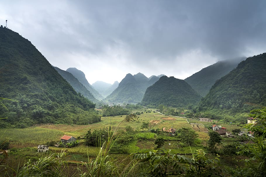 bac son, silk, field, the valley, vietnam, the landscape, natural, HD wallpaper