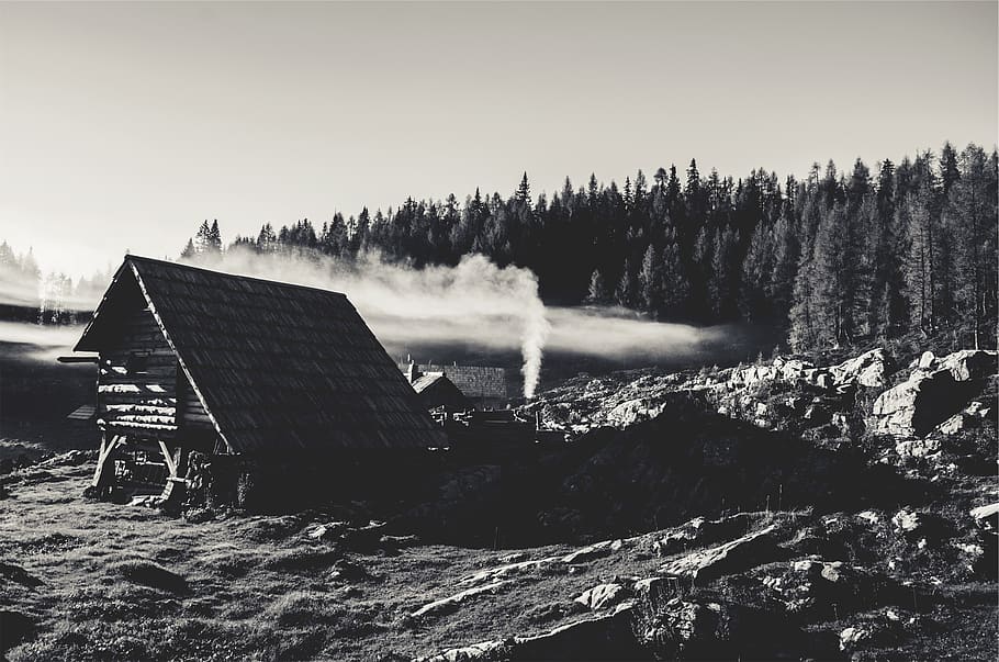 rural, trees, forest, rocks, huts, houses, black and white HD wallpaper