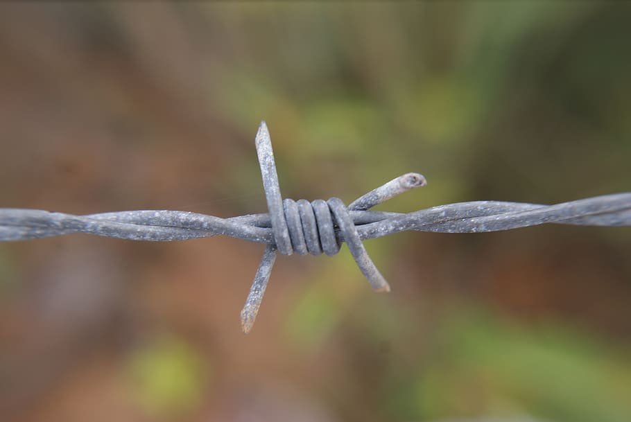 wire, barbed, metal, seal, security, about, demarcation, border HD wallpaper