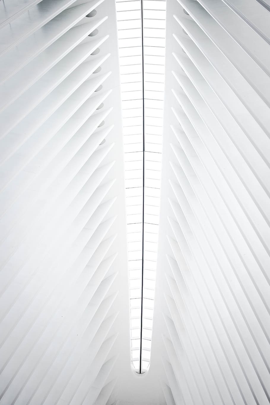 The new World Trade Center Transportation Hub roof, ceiling, indoor