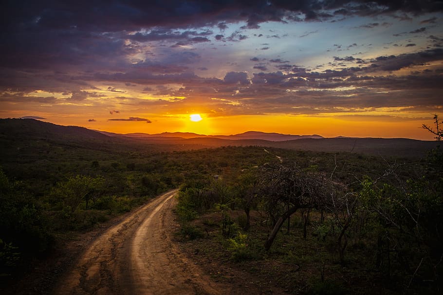 nature, roads, paths, dirt, soil, bushes, plants, grass, view HD wallpaper