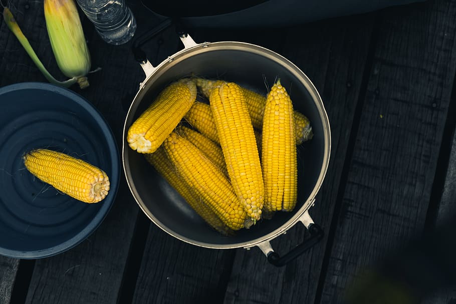 corns inside cooking pot, plant, food, vegetable, terengganu HD wallpaper