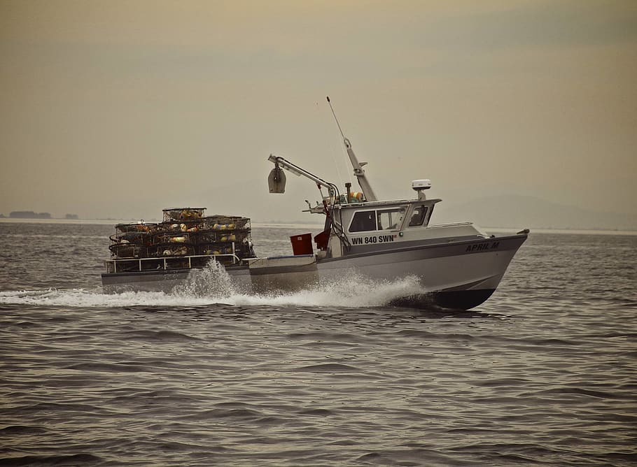 boat, crab, nautical vessel, transportation, mode of transportation HD wallpaper