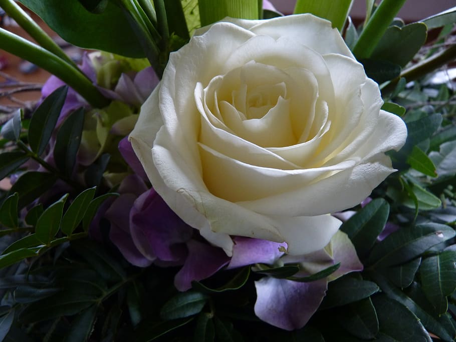 white, rose, blossom, bloom, romantic, bouquet of flowers, beautiful HD wallpaper