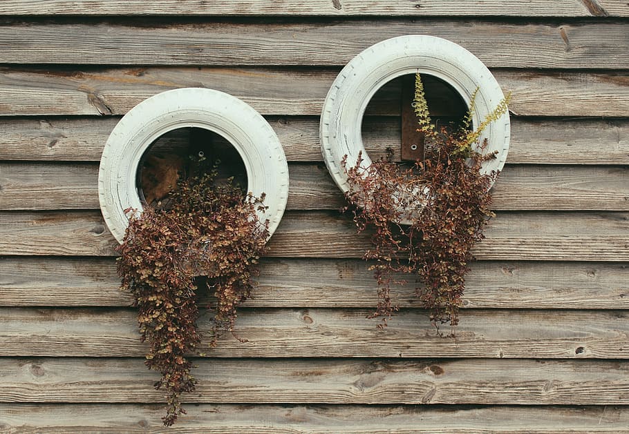 two white tires with dried leafs, wood - material, no people HD wallpaper
