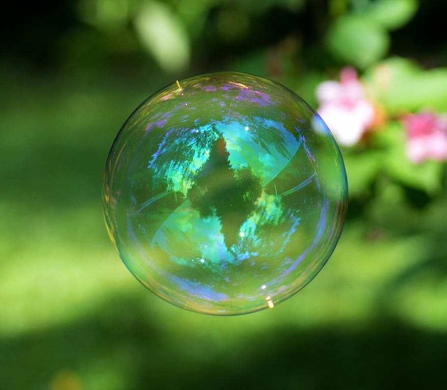 Clear and Blue Bubble Near Green Leaves, close-up, macro, reflection HD wallpaper