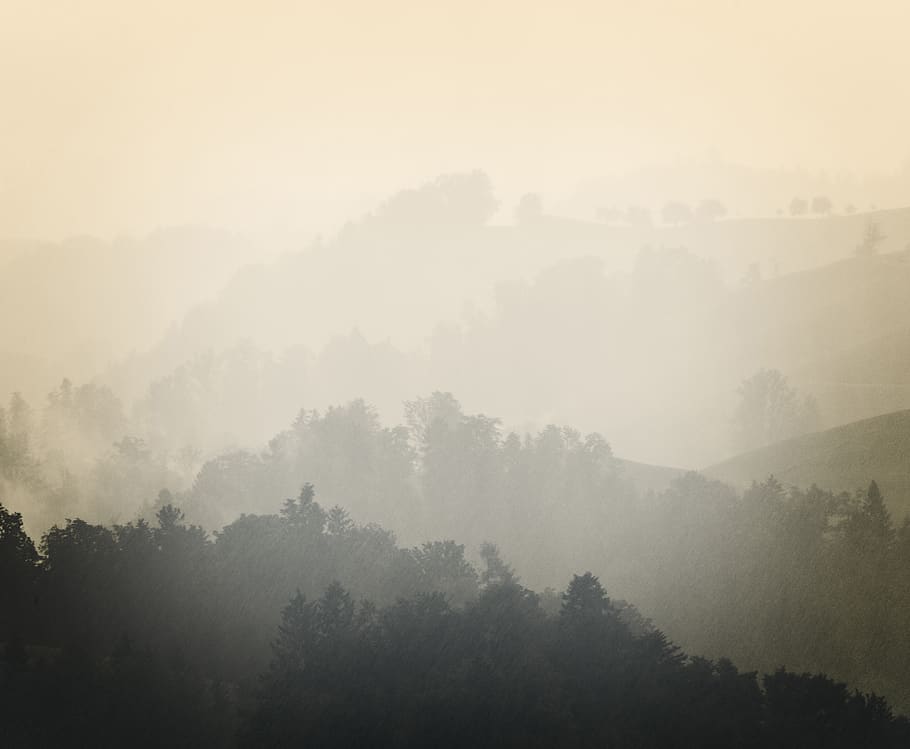 mountain surrounded by trees, fog, mist, weather, nature, outdoors HD wallpaper