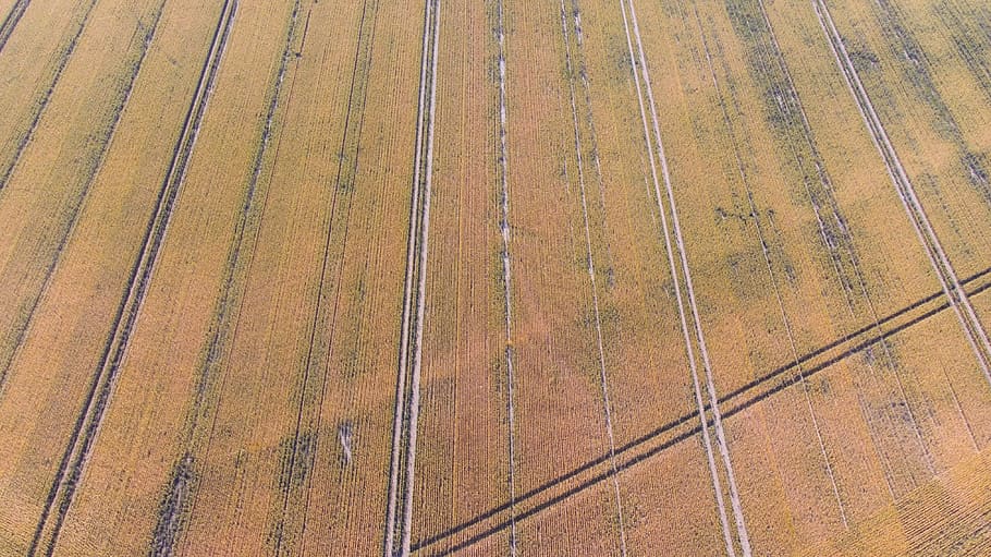 lines, ditches, green, yellow, brown, golden, field, tractor HD wallpaper