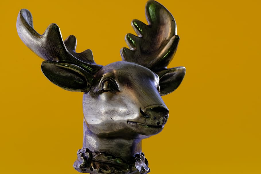 isolated, antler, hirsch, deer antler, sculpture, hunting, trophy, HD wallpaper