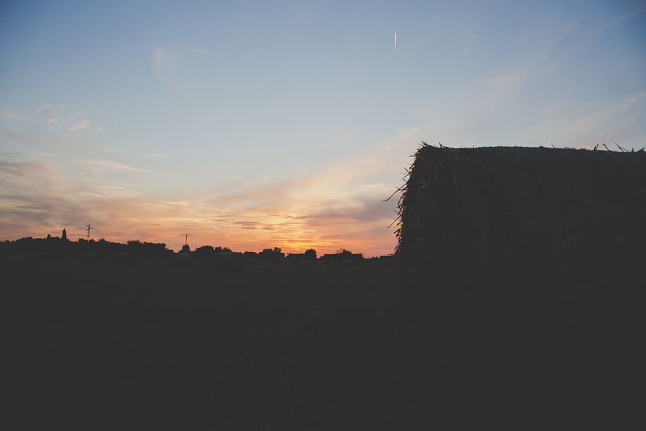 germany, rheinstetten, epplesee, field, crop, mow, sky, cloud - sky HD wallpaper