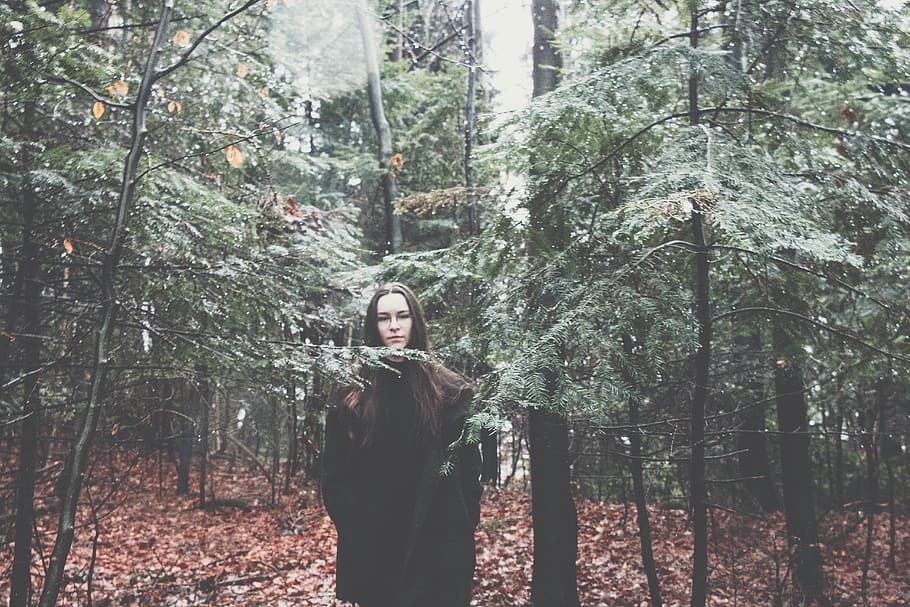 beauty, tree, forest, plant, land, standing, young adult, one person HD wallpaper